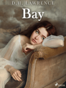 Bay (e-kniha)