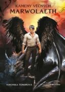 Kameny věčných (e-kniha)