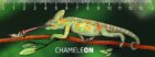 Pravítko 3D - Chameleon