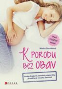 K porodu bez obav - 2. rozšířené vydání (e-kniha)