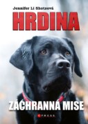Hrdina: Záchranná mise