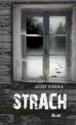 Strach (e-kniha)