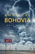 Americkí bohovia (e-kniha)