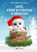 Kotě, které se ztratilo o Vánocích (e-kniha)
