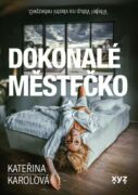 Dokonalé městečko (e-kniha)