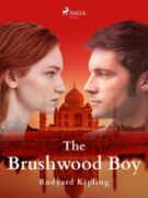 The Brushwood Boy (e-kniha)