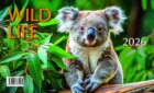 Kalendář 2026 Mláďata - Wild life, stolní, 23 x 14 cm