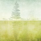 Málem bych zapomněl ... (CD)