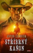 Stříbrný kaňon (e-kniha)