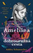 Ameliina dobrodružná cesta (e-kniha)
