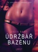 Údržbář bazénu – Sexy erotika (e-kniha)