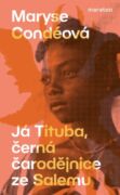 Já Tituba, černá čarodějnice ze Salemu (e-kniha)