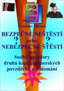 Bezpečné neštěstí nebo nebezpečné štěstí? (e-kniha)