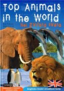 Top Animals in the World - Nej zvířata světa