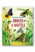 Brouci a motýli