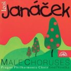 Mužské sbory /Kantor Halfar, Potulný šílenec, Česká legie.../-CD