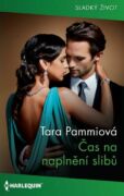 Čas na naplnění slibů (e-kniha)