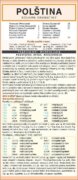 POLŠTINA souhrn gramatiky