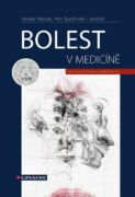 Bolest v medicíně (e-kniha)