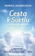 Cesta k svetlu (e-kniha)