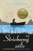 Strieborný záliv (e-kniha)