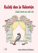 Každý den je Valentýn (e-kniha)