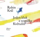 Jeden kluk z vesničky Květušín (e-kniha)