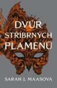 Dvůr stříbrných plamenů (e-kniha)