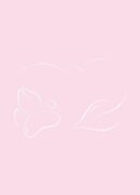 Meditační deníček