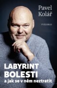 Labyrint bolesti - a jak se v něm neztratit
