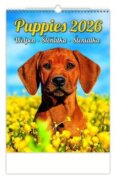 Kalendář nástěnný 2026 - Puppies/Welpen/Štěňátka/Šteniatka