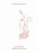 Křehká krása designu (e-kniha)