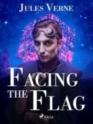 Facing the Flag (e-kniha)