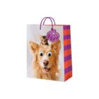 Dárková taška malá - Pejsek a kočička (17,8 × 9,8 × 22,9 cm)