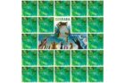 Zahrada - pexeso