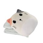 Polštář a deka - Kočka