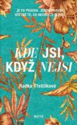 Kde jsi, když nejsi (e-kniha)