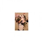 Weird & Wonderful (CD)