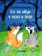 Co se děje v noci v lese (e-kniha)