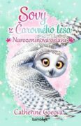 Sovy z Čarovného lesa Narozeninová oslava