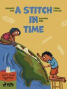 A Stitch in Time (e-kniha)