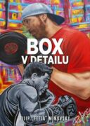 Box v detailu (e-kniha)