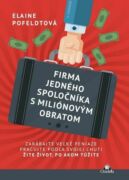 Firma jedného spoločníka s miliónovým obratom (e-kniha)