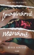 Imaginární neznámí (e-kniha)