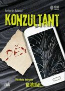 Konzultant (e-kniha)