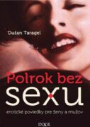 Polrok bez sexu (e-kniha)