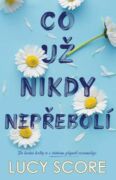 Co už nikdy nepřebolí (e-kniha)