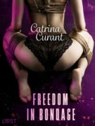 Freedom in Bondage - BDSM Erotica (e-kniha)