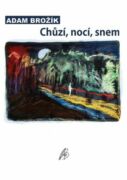 Chůzí, nocí, snem (e-kniha)