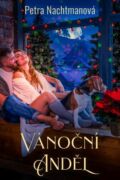 Vánoční anděl (e-kniha)